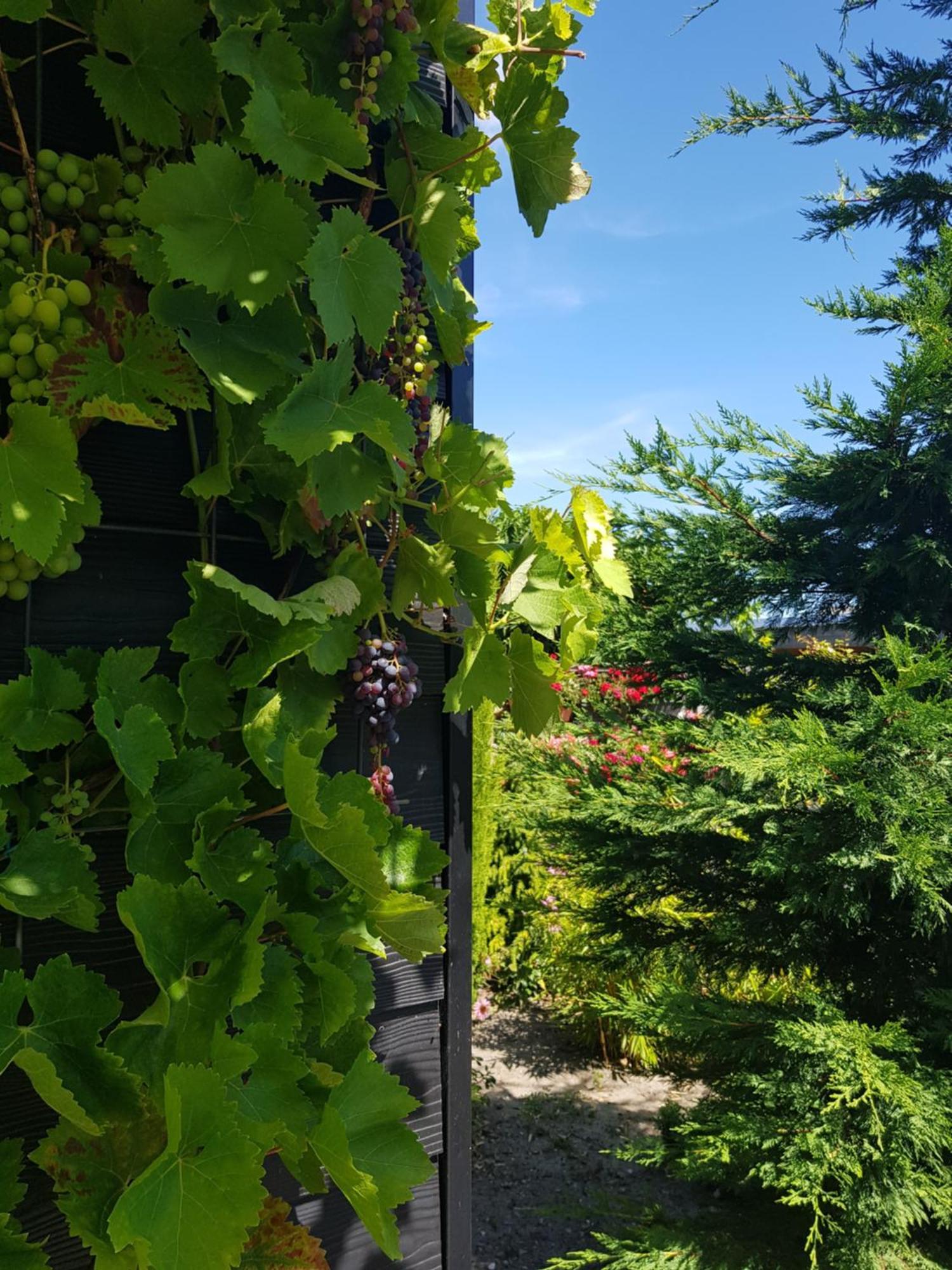 B&B Welkom Zierikzee Phòng bức ảnh
