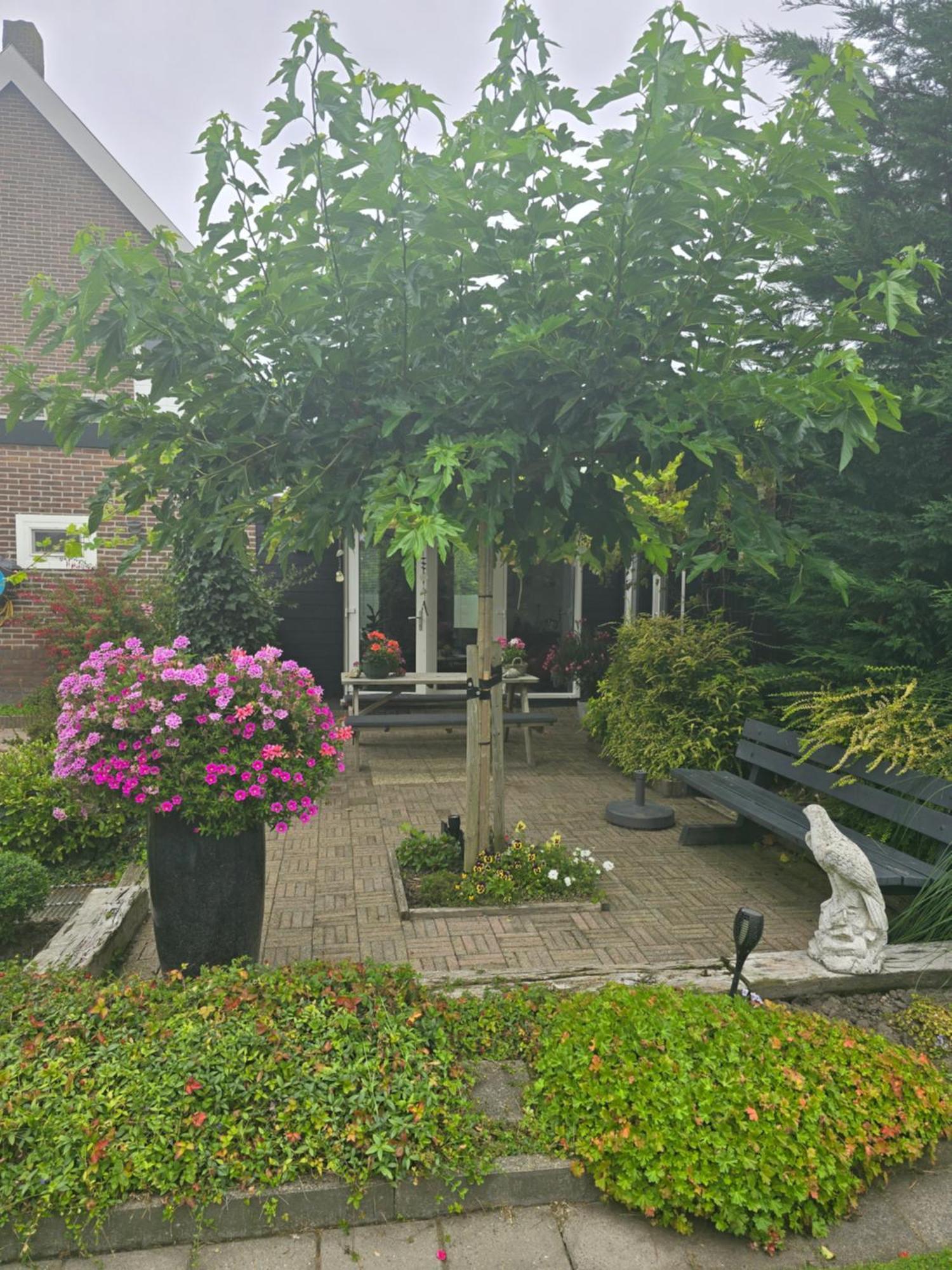 B&B Welkom Zierikzee Ngoại thất bức ảnh
